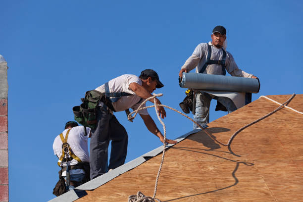 Best Roof Gutter Cleaning  in Ledbetter, KY