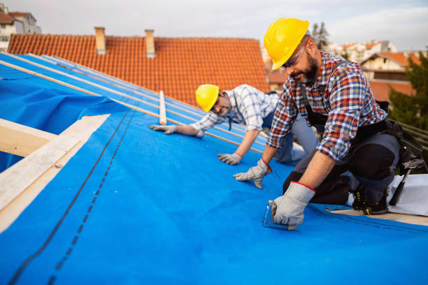 Roof Gutter Cleaning in Ledbetter, KY