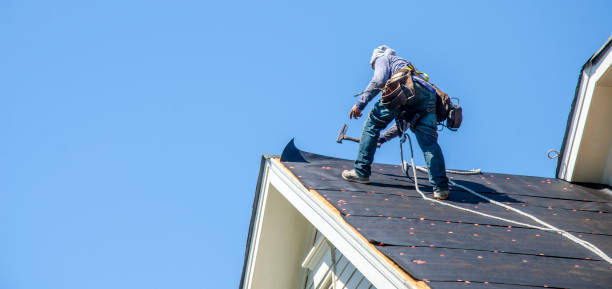Best Metal Roofing Contractor  in Ledbetter, KY